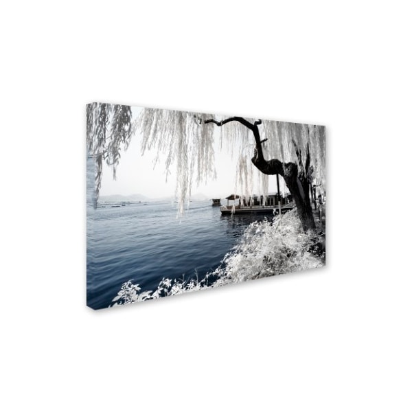 Philippe Hugonnard 'Lake Winter' Canvas Art,30x47